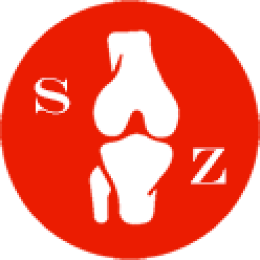 Logo zachariou stergios